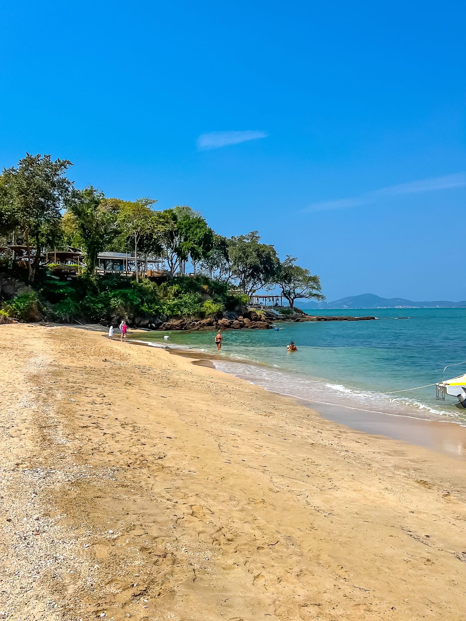 January 2026 Market Update & Emerging Hotspots